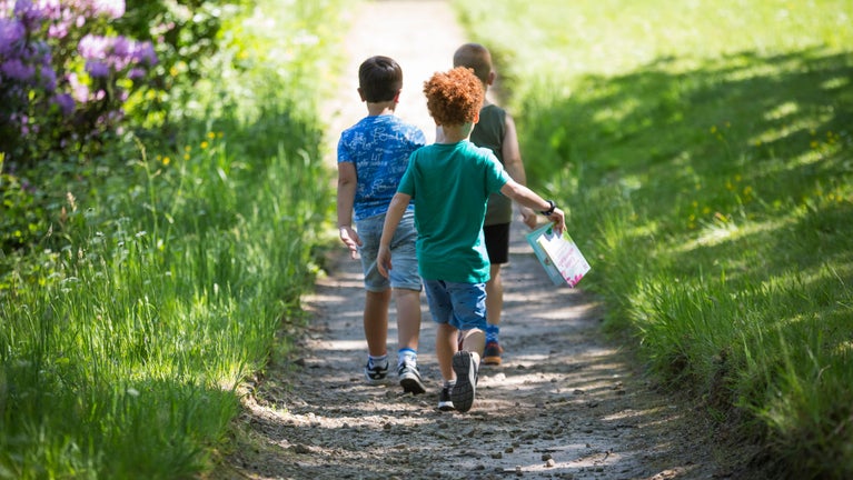 Three children with their backs to the camera walking along a path flanked by bright green spring grass.